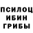 Галлюциногенные грибы GOLDEN TEACHER ulmagena
