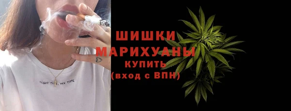 сатива Волоколамск
