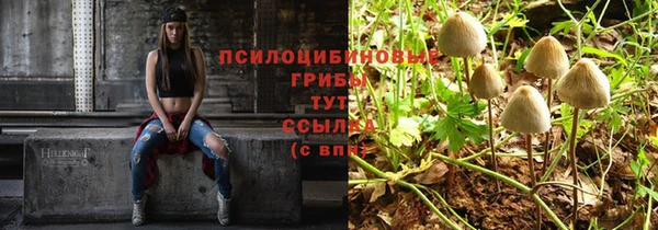 прущие крисы Козловка