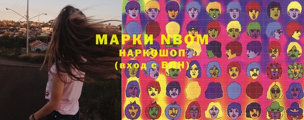 сатива Волоколамск