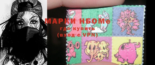 сатива Ростов