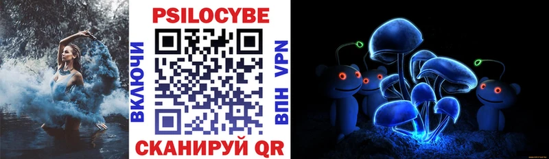 где купить наркоту  Новомичуринск  Псилоцибиновые грибы Psilocybe 