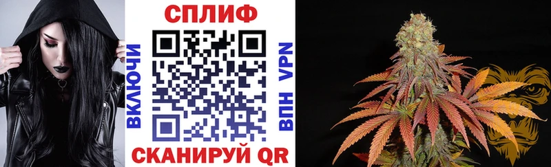 Шишки марихуана план  Новомичуринск 